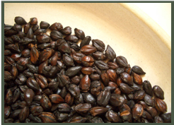 純手炒り麦茶